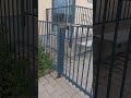 Saapumisohjevideo päiväkoti Pollen liikuntasaliin