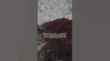 #قران كريم#راحة نفسيه ..اكتب شي تؤجر  عليه❤️🤍