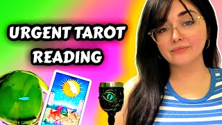 URGENT Tarot Reading 🚨 | Your Intuition Has Been Right About Everything This Entire Time! 🔮⚠️