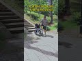 #wheelchair #electricwheelchair #electric