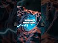 How Seismic Waves Tell Earth's Secret Chords