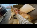 鼻筋ツーツー。
