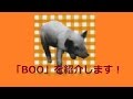 【特別紹介028】「BOO」を紹介します!