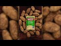 Idahoan Mashed Potato Packets
