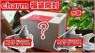 12,000 yen worth] The charm lucky bag arrived so I opened it