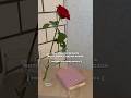 Идеи фото с одной розой 🌹 #идеи #розы #shortsyoutube