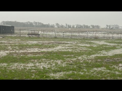 1000 Of 5 Is 50 And 1000 Of 50 Is 500 