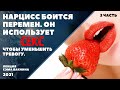 2. НАРЦИСС БОИТСЯ ПЕРЕМЕН. ОН ИСПОЛЬЗУЕТ СЕКС, ЧТОБЫ УМЕНЬШИТЬ ТРЕВОГУ. (лекция Сэма Вакнина)