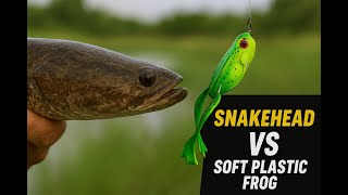 Soft Plastic Frog vs Snakehead 🔥 | Pond Fishing in India screenshot 4
