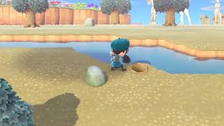 I somehow managed to be bad at Animal Crossing