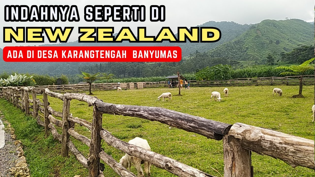 INDAHNYA PETERNAKAN SEPERTI DI NEW ZEALAND ada di Desa Karangtengah Banyumas Jawa Tengah YouTube