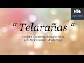 Telarañas -Andrea Escalona ft Edwin Luna y la trakalosa de Monterrey (letra)