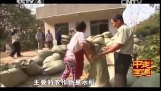 20141201走遍中国  系列片《一方奇人一方事》（2）——鸟爷王三益