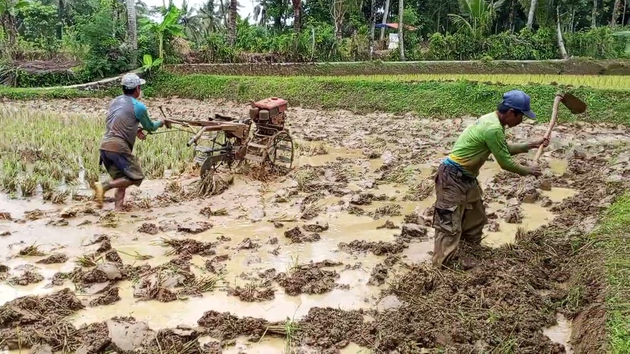 Joki legendaris termuda