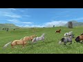 star stable randomness