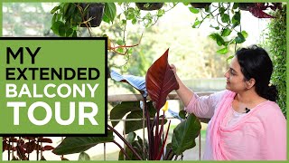 My Extended Balcony Tour | How We Successfully Kept Our Plants Lush and Green Through Out the Year