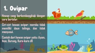 Perkembangbiakan Hewan Secara Generatif ( Ovipar, Vivipar dan Ovovivipar )