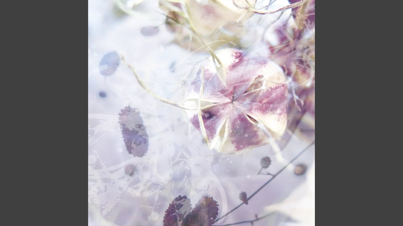 在 YouTube 上观看 あわひ 在 YouTube 上观看 あわひ