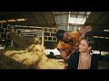 Mocco Genius feat Alikiba - Mchuchu (Official Music Video)