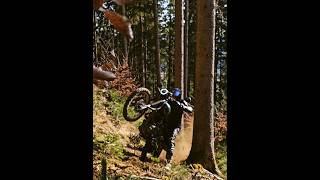 Старый Японец VS Новый китаец🤔 Почему Yamaha Tenere НЕ для всех... #motovlog #scrambler #yamaha