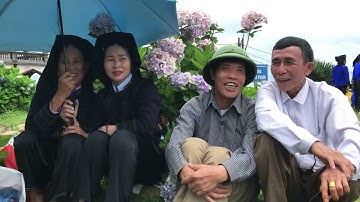 Cặp đôi gái Bắc Giang - trai Lạng Sơn hát sli bên khóm hoa cẩm tú cầu trên Mẫu Sơn P2