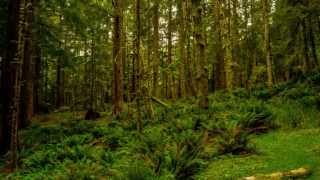 Cannon Beach Oregon Time Lapses 2014