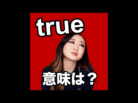 【true  意味は？】動画で観る！聴く！英語辞書動画」