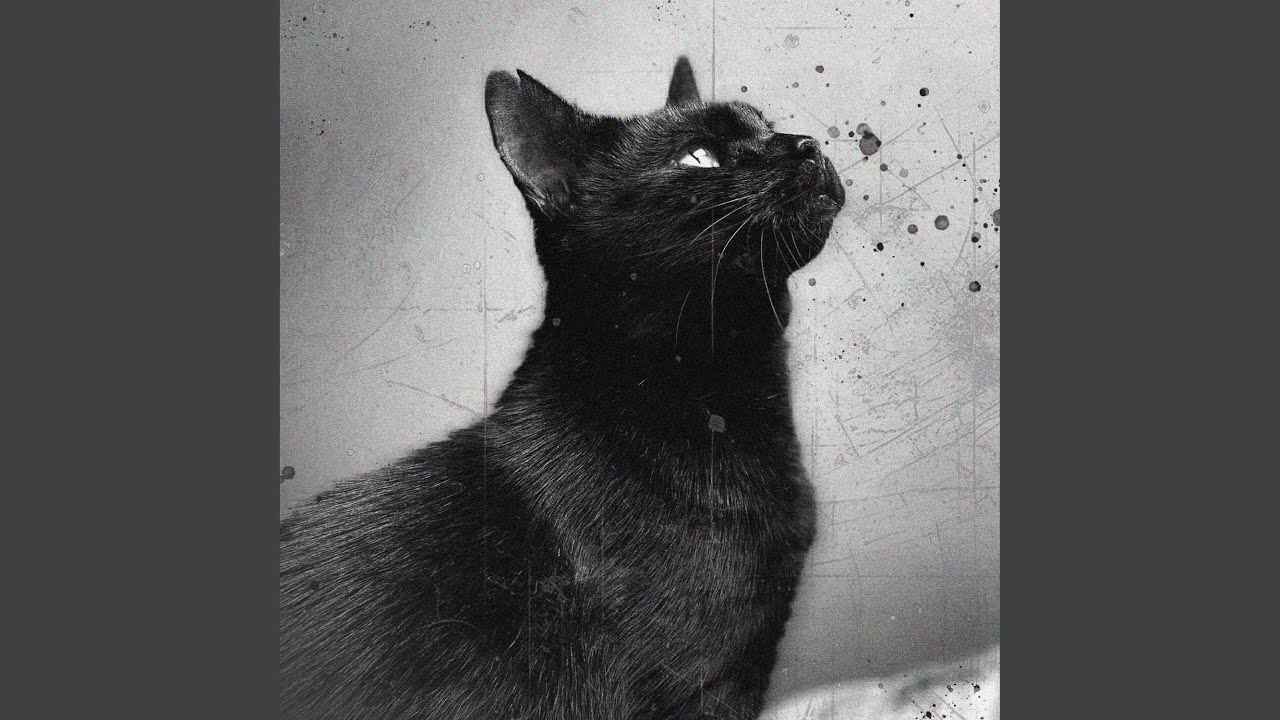 Watch Little Void on YouTube Watch Little Void on YouTube