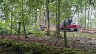 Rhododendron Mulching | Low Ground Pressure Excavator for Woodland Management