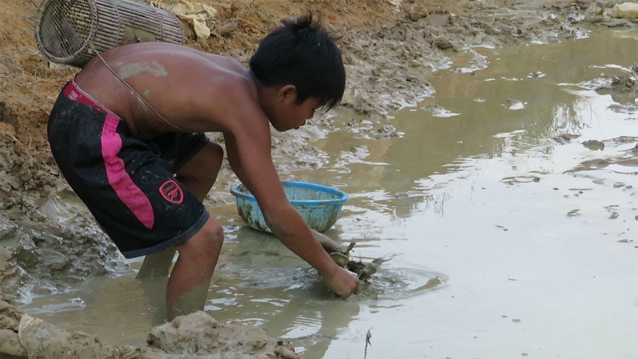 Dry Season 2020 | Catch Fish In Shallow Water Creek! - [Fishing & Trapping] (Part-15)