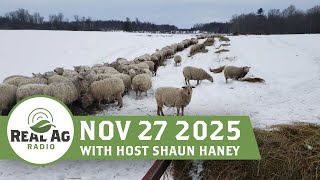 RealAg Radio: Trends in growing soybeans, the ideal ewe flock, and planning for 26, Nov 27, 2025