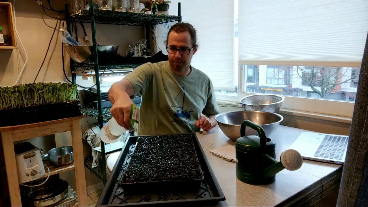 Avoiding Mold During Germination