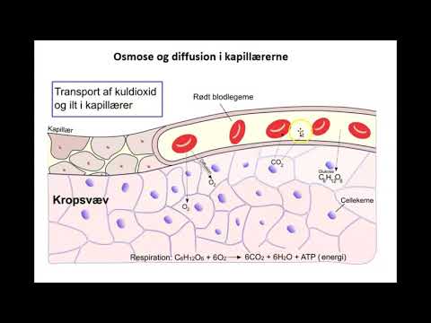 Video: Hvorfor er diffusjon og osmose viktig for livet?