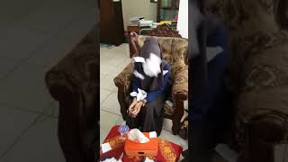 Pelakor muncul lagi di masyarakat... #lagi viral
