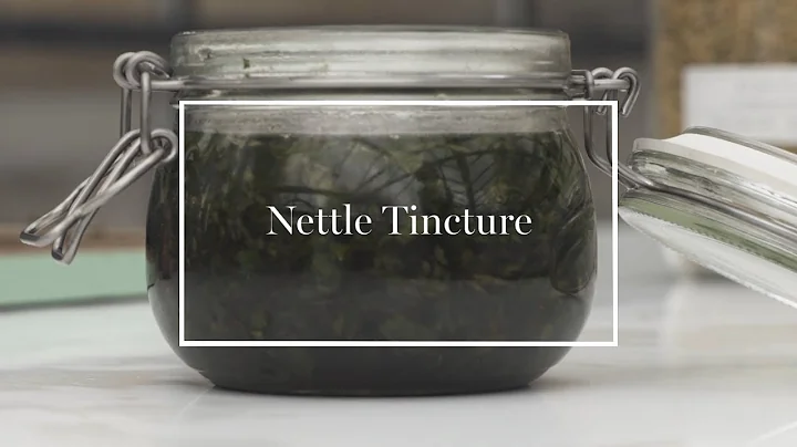 Kim & Vicky's Nettle Tincture