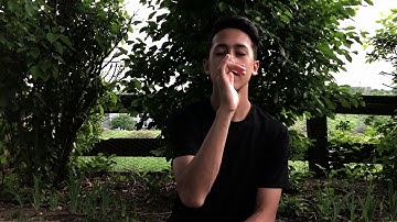 ASL 2 Music Video Final