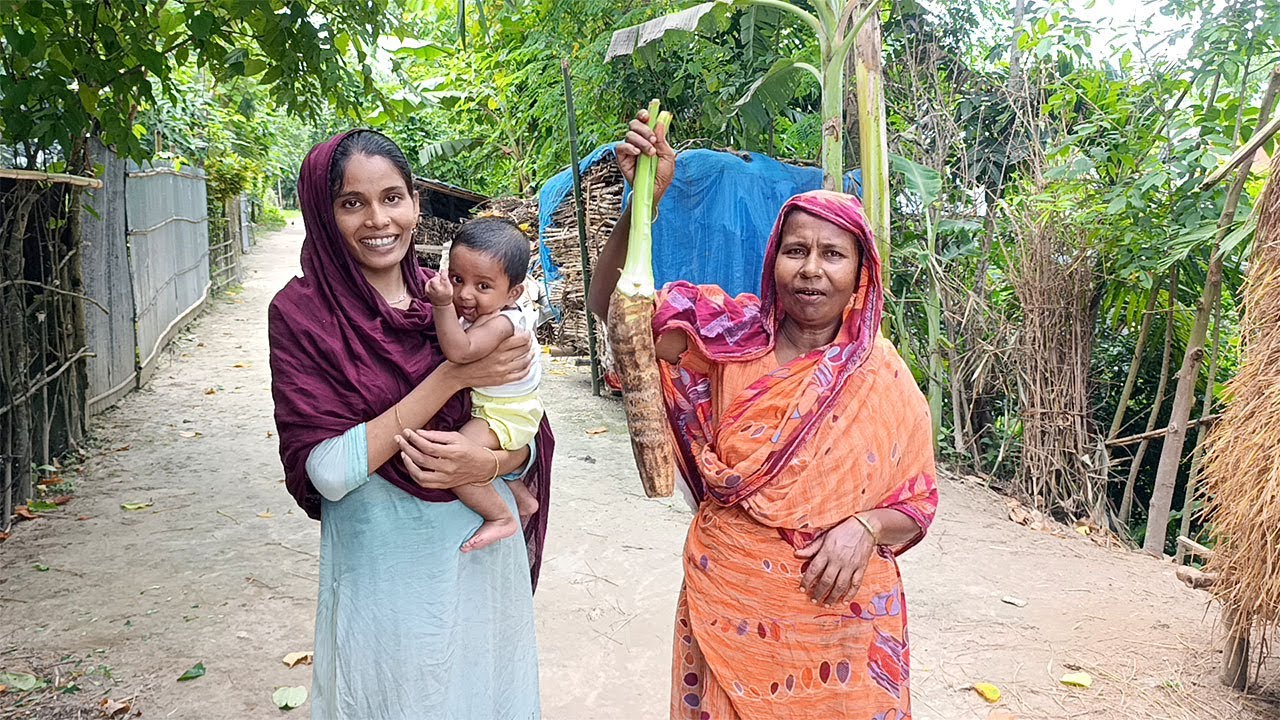 সখের খাবার এমনি হয় বাক্সকচু নদীর আইড় মাছ রান্না