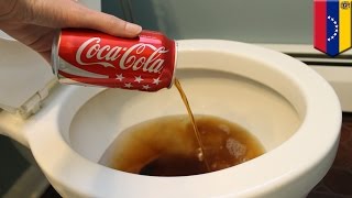 Coca-Cola to stop production in Venezuela over sugar shortage crisis - TomoNews screenshot 5