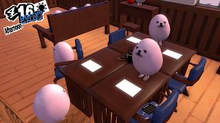 Eggdog Exams