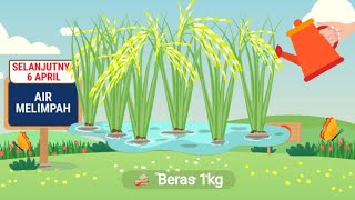 GAME MENANAM BERAS DAN BUAH ONLINE VIA ANDROID screenshot 2