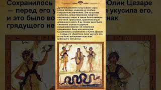 Змеи в культуре Древнего Рима: страх и сакральность. #shorts