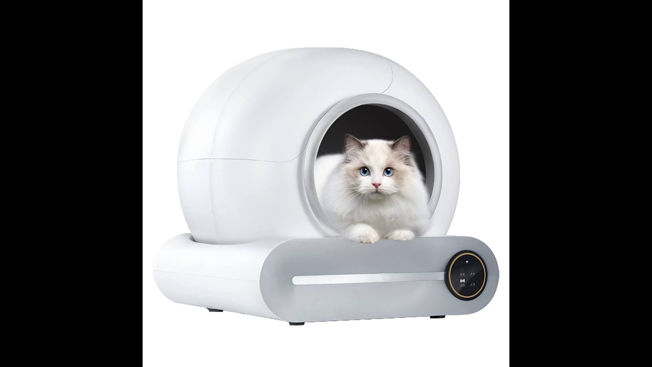 trockenfutter katze gesund skin control + allergic Katzen-Trockenfutter | mera