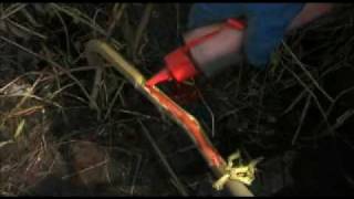 Willow control Scrape and Paint technique Willow Control Stem Injection With A Cordless Drill