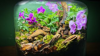 DIY Naturalistic Orchid terrarium