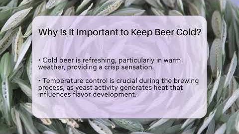 Why Is It Important to Keep Beer Cold? | The Pint Guy