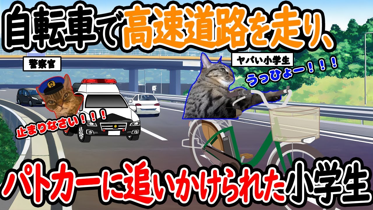 【ほぼ実話】自転車で高速道路を走り、パトカーに追いかけられた小学生の話【猫ミーム】【猫マニ】