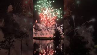 Epcot Magic! Food, Fireworks, & Annual Passes: Day 2!