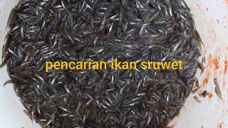 Download lagu pencarian IKAN SRUWET