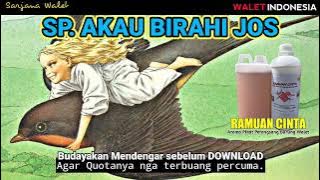 SP. AKAU BIRAHI RESFON DAHSYAT UNTUK MUSIM ANAKAN!!! SUARA PANGGIL BURUNG WALET