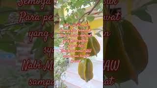 Sholallahu Ala Muhammad  Sholawat Nabi  shorts short